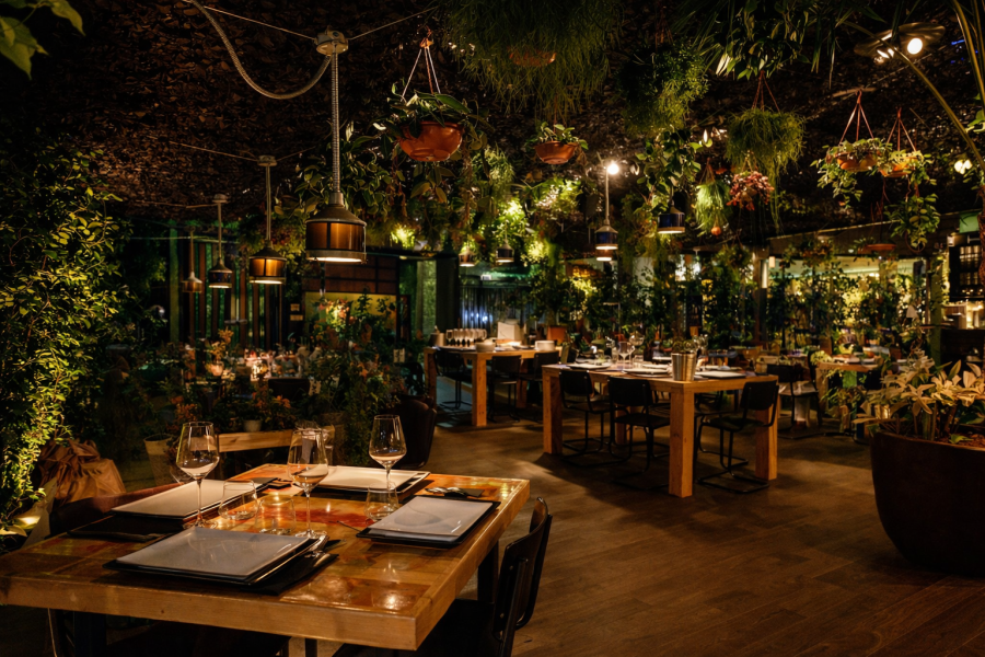 Cafe Concierto en Talamanca